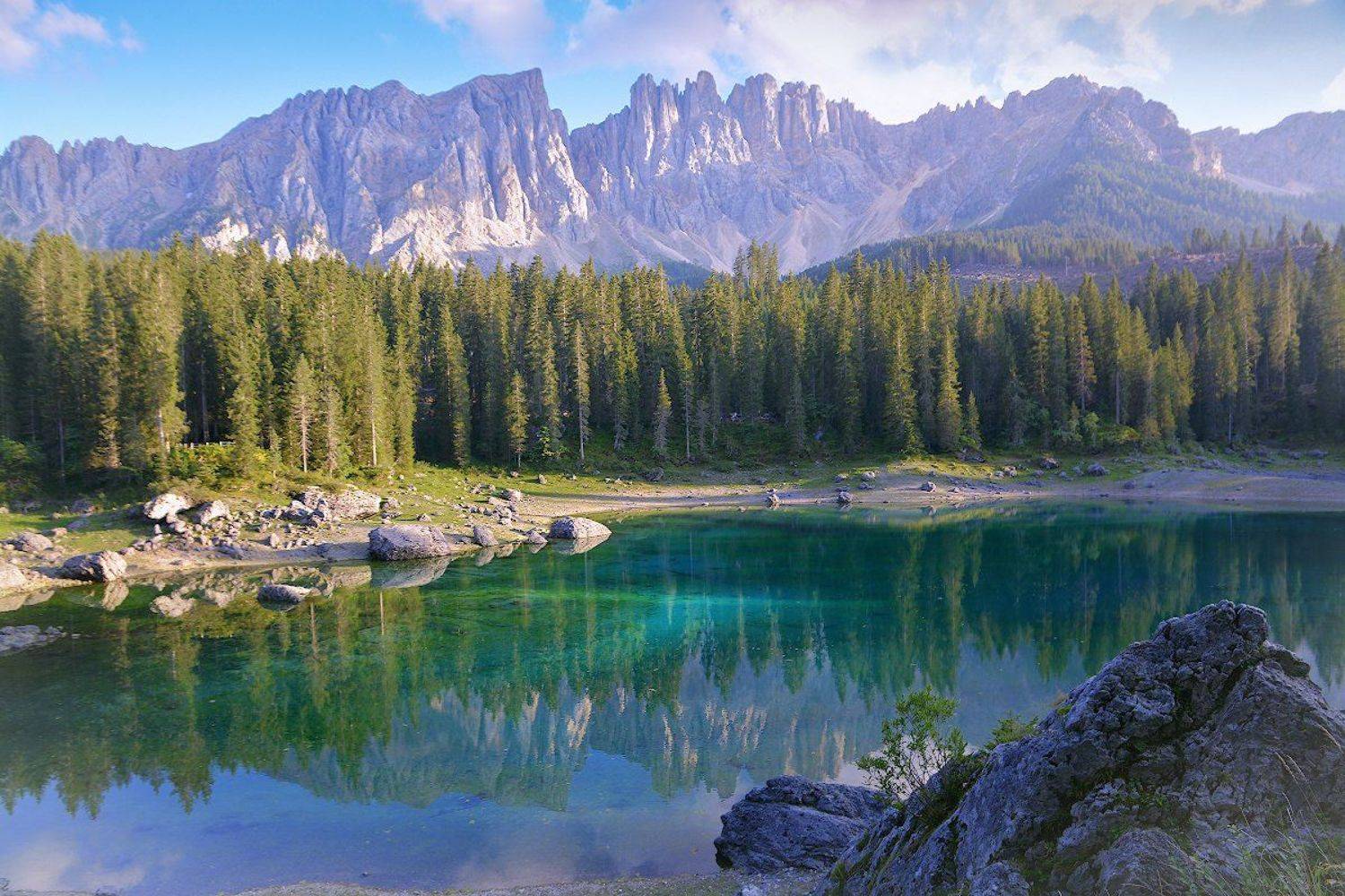 , Марина Никифорова