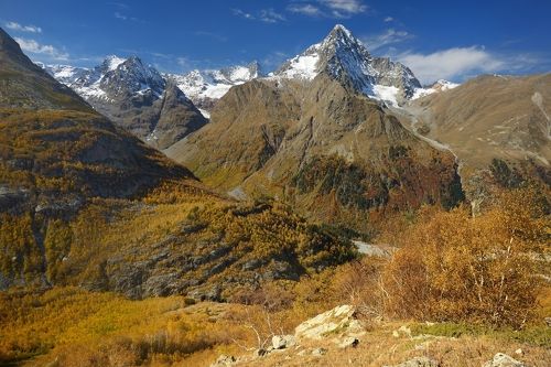 Аксаут осенью