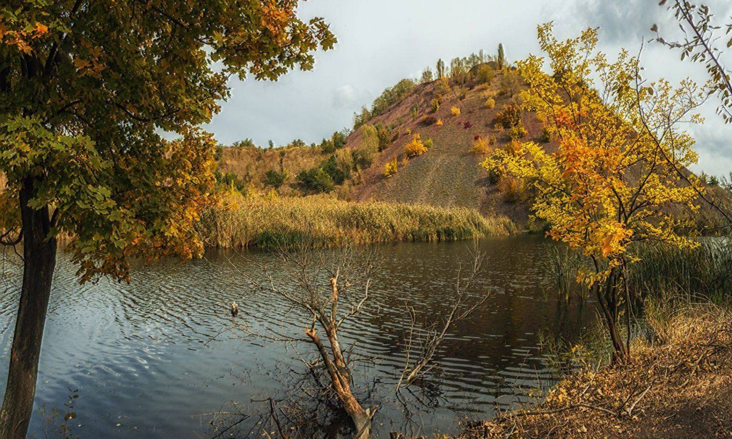 , Игорь Мелекесцев