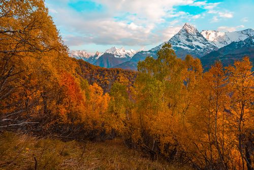 Праздник осени в Домбае