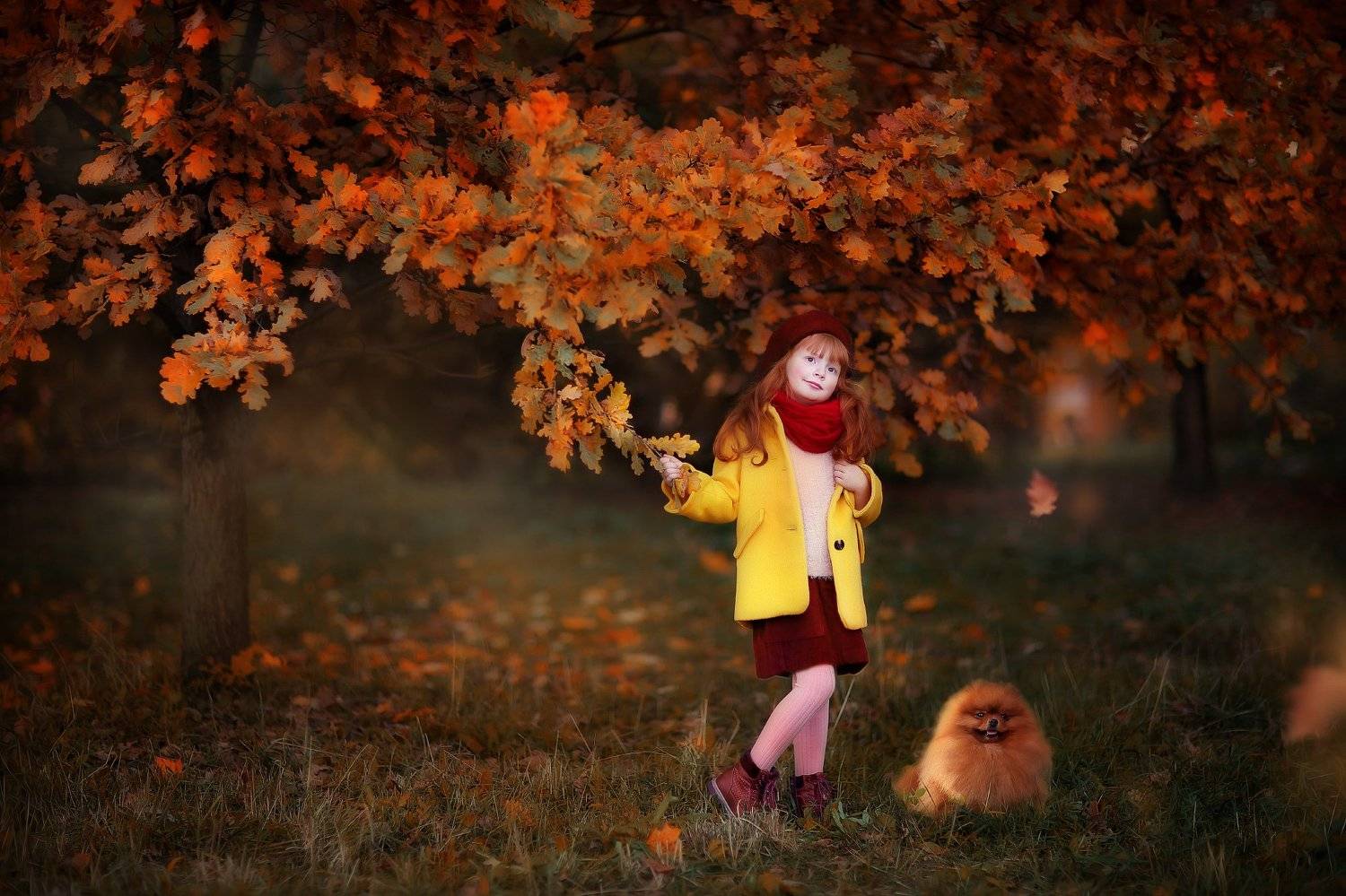 фотосессия, дети, осень, рыжие волосы, девочка, портрет, Митина Оксана