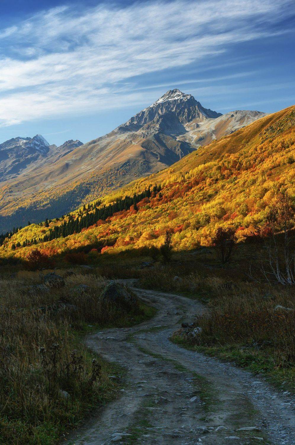 mountains nature autumn домбай горы осень пейзаж природа landscape ущелье gorge снег пик листья желтый лес forest, Егор Бугримов
