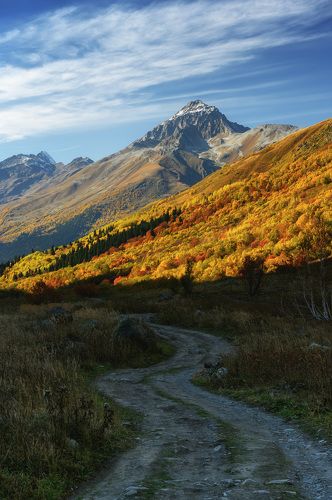 I,m fallin down and caught up the leafs.