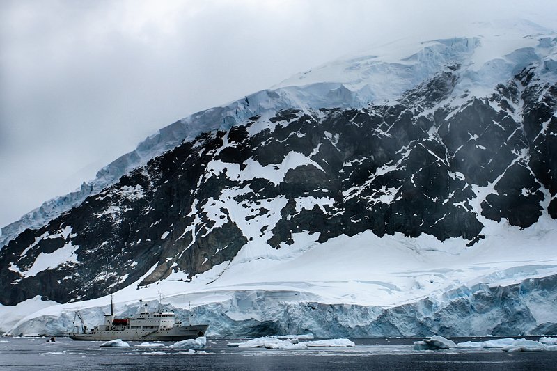 Антарктида 63 фото превью