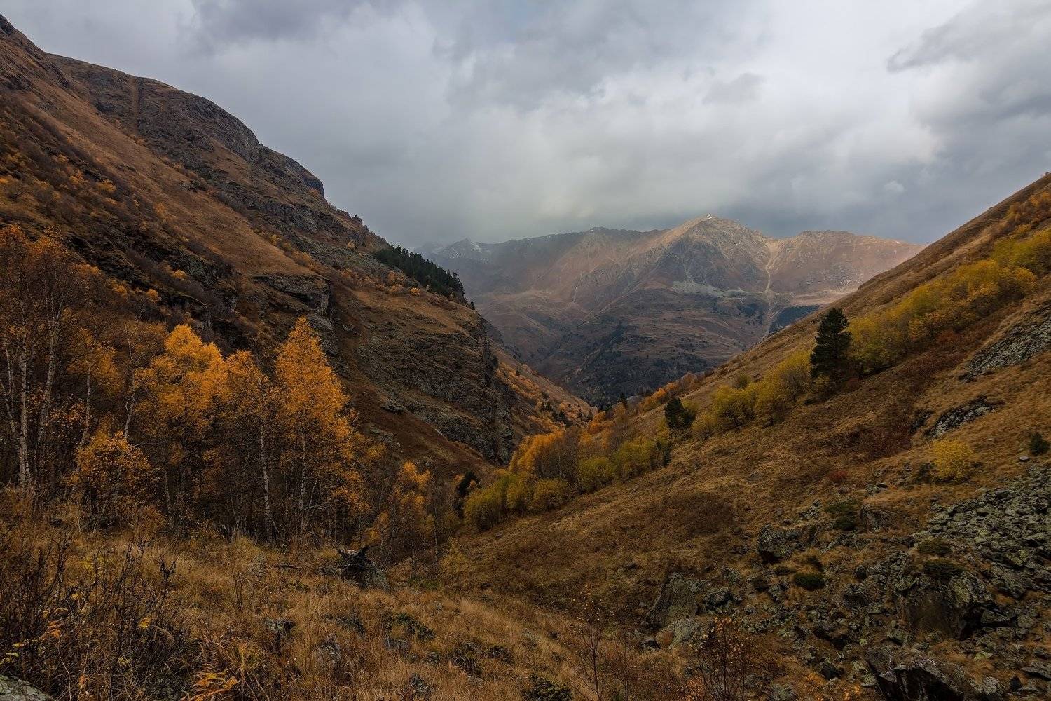 горы,осень,кавказ, Эстелла