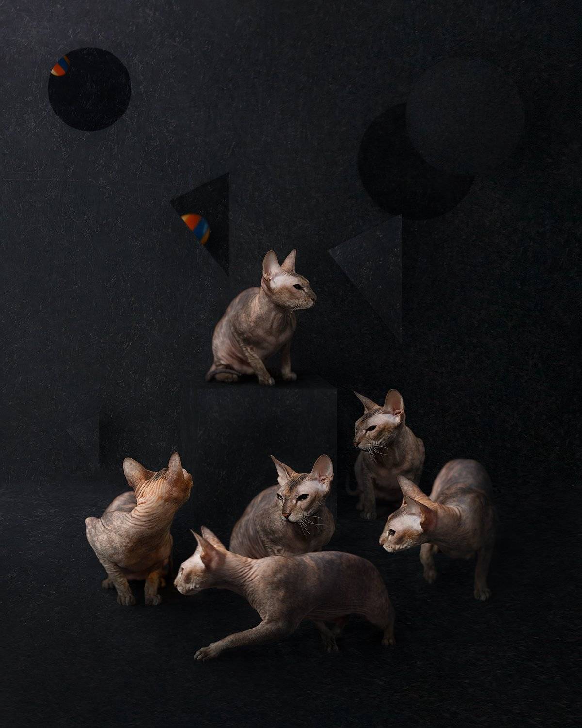 art, portrait, photomanipulation, photoshop, composing, Филипп Рабачев