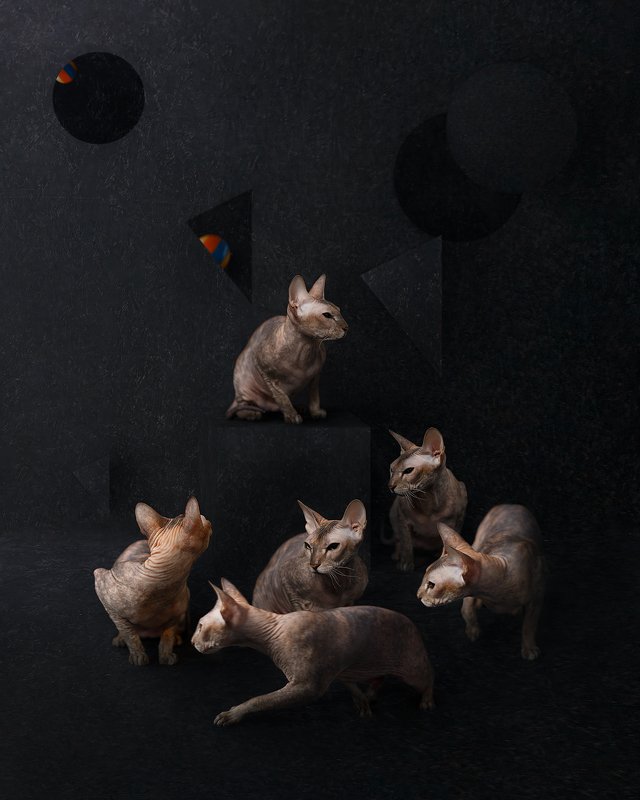 art, portrait, photomanipulation, photoshop, composing Family фото превью