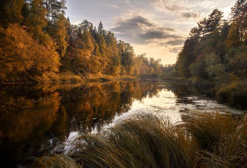 Осень на Керженце