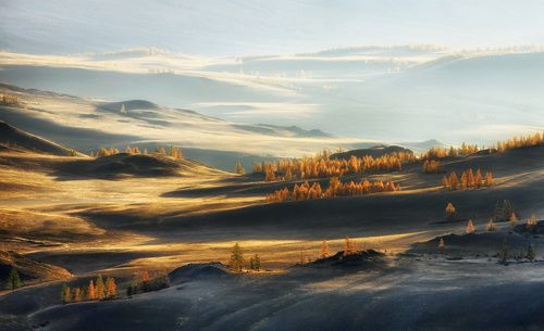 Курайский рассвет