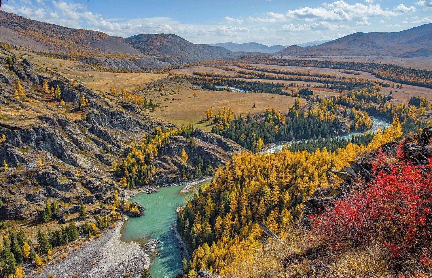 горы. осень. алтай. джазатор. аргут. беляши., Евгений Дроботенко