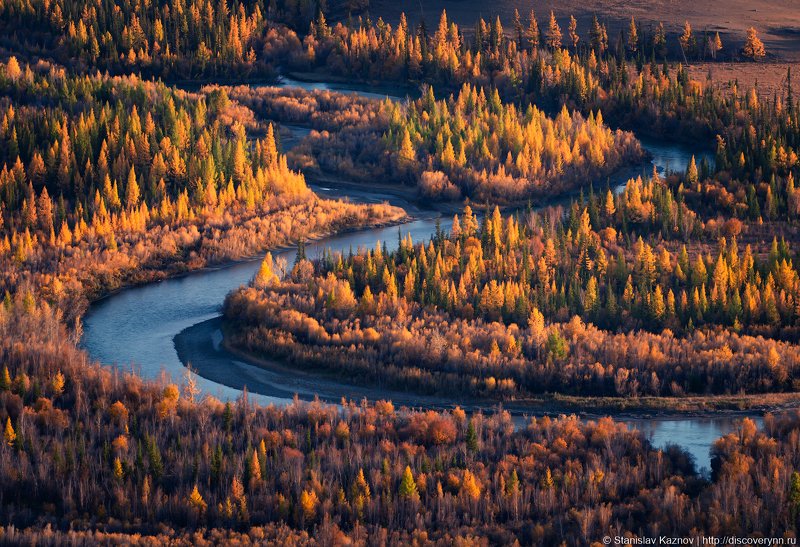 осень, Алтай  фото превью
