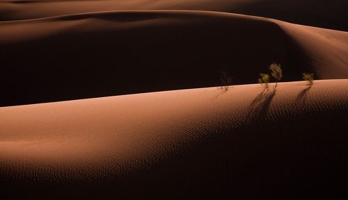 Light and shadows