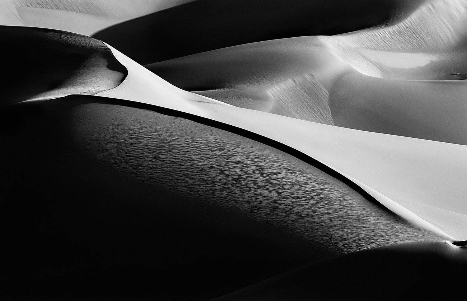 disert, Mehdi Khadem