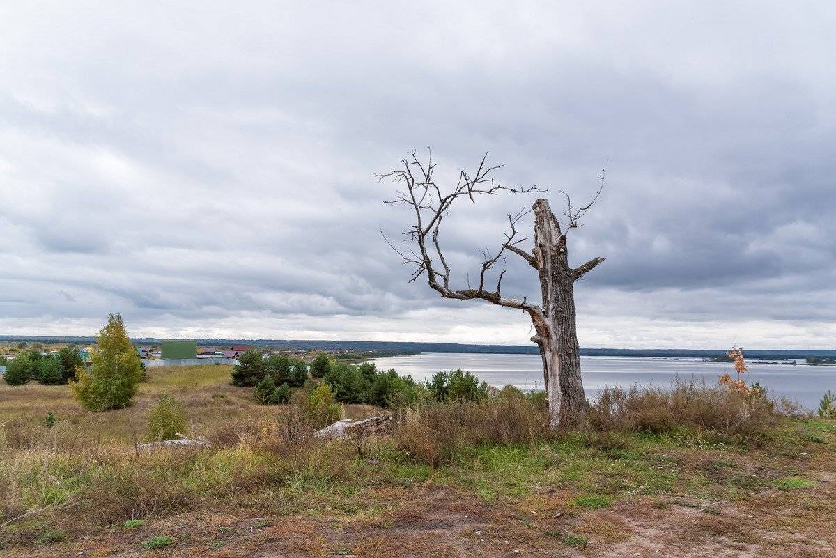, Александр Земляной