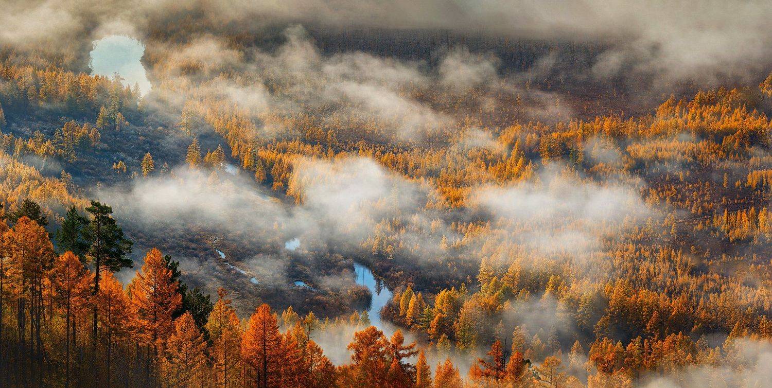 , Дмитрий Демидчик