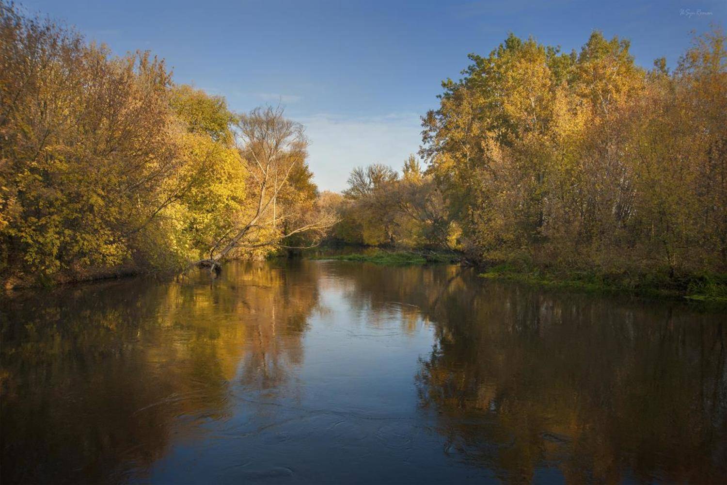 осень,утро,пейзаж,берег,река,лес, Roma  Chitinskiy