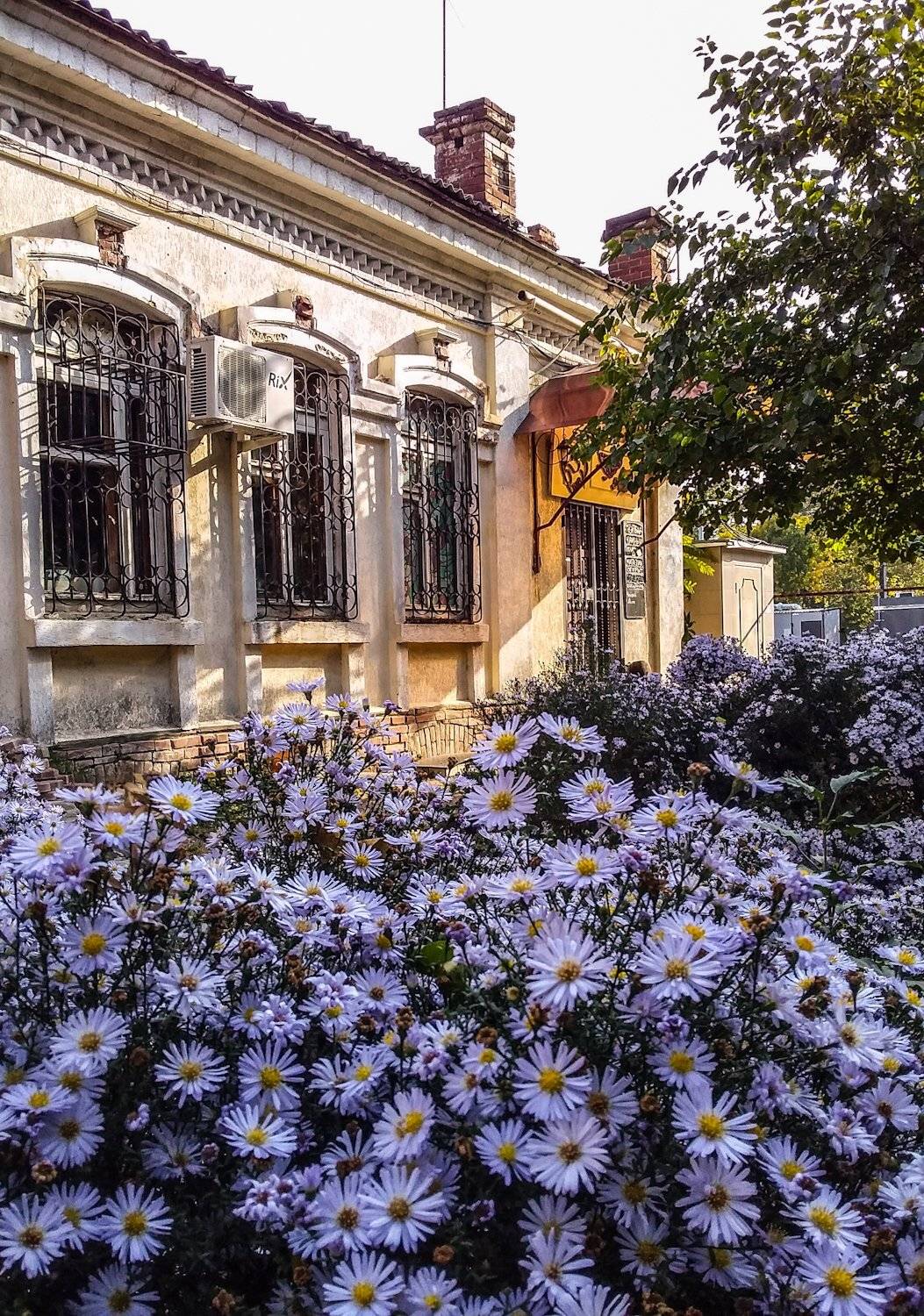 , Павел Сагайдак