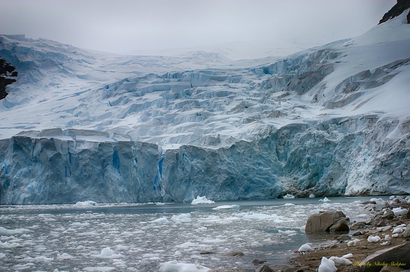Антарктида 64 фото превью