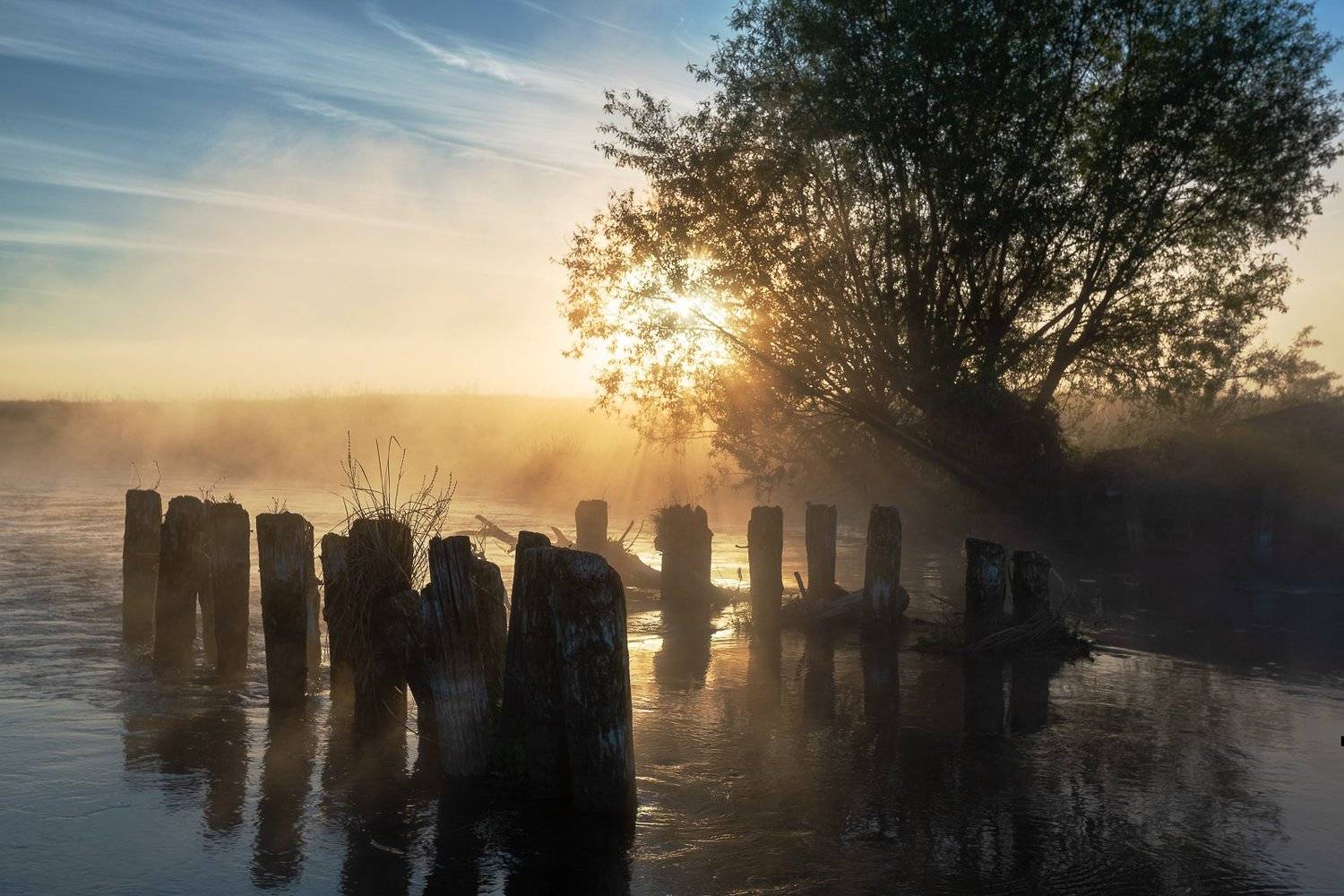 , Александр Бредихин