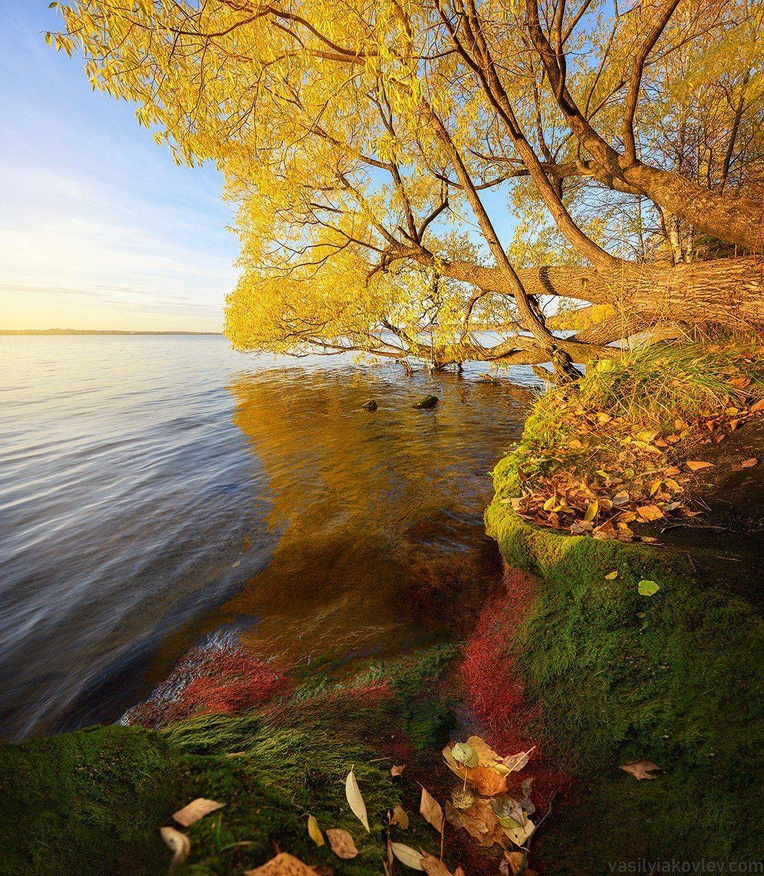 екатеринбург, осень, Василий Яковлев