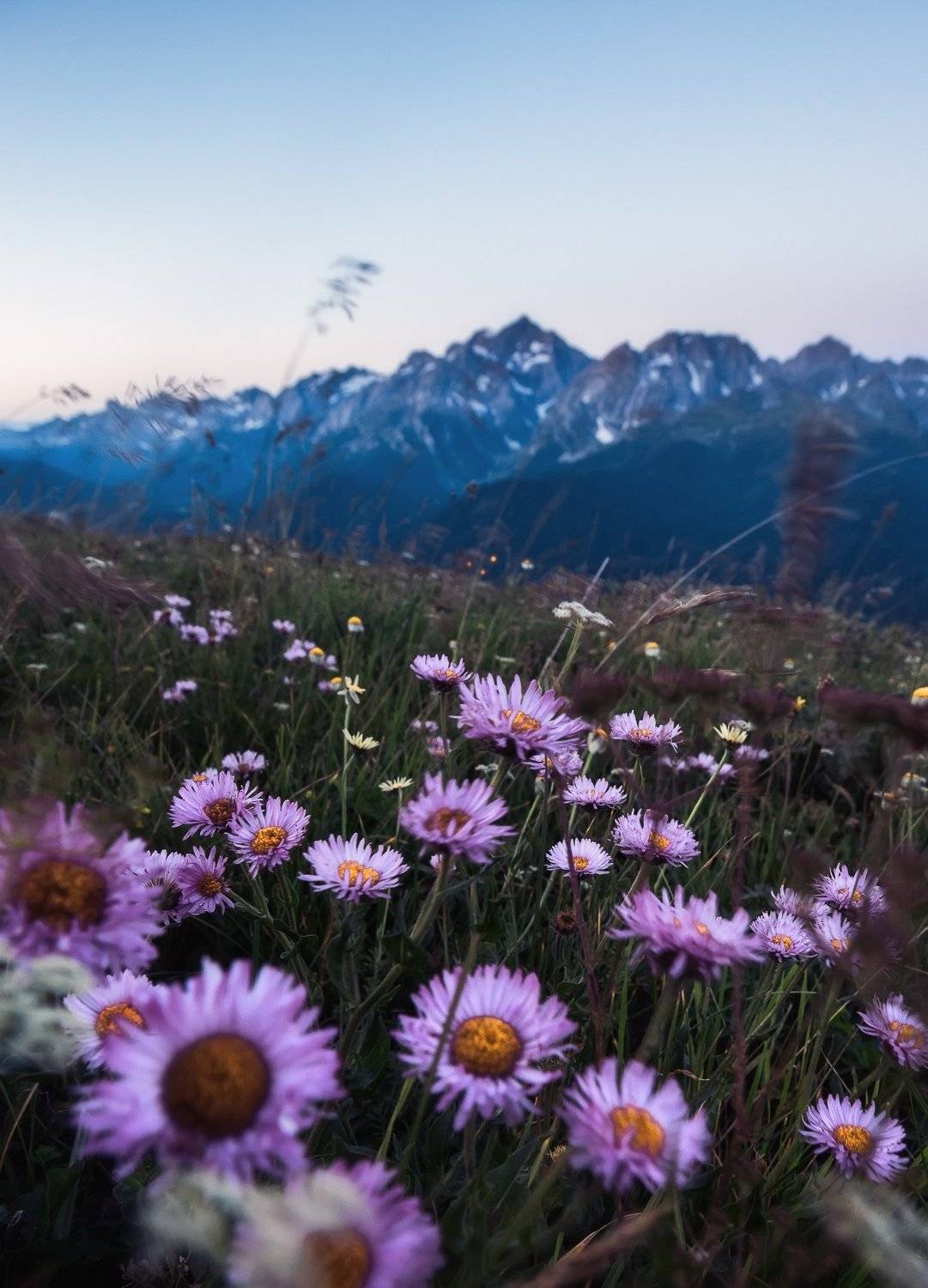 Сочи, горы, Красная Поляна, пейзаж, лето, Сергей Шабанов