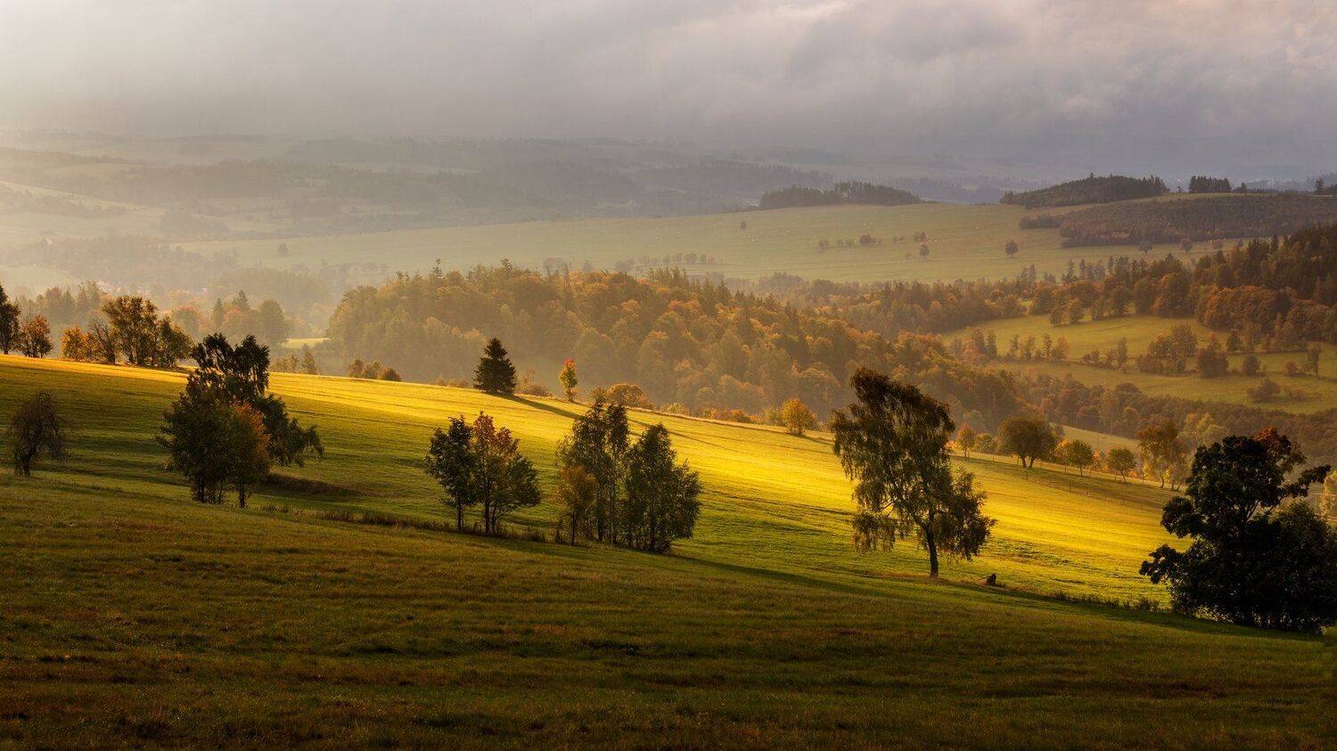 landscape, tree, sunset, Petr Fiala