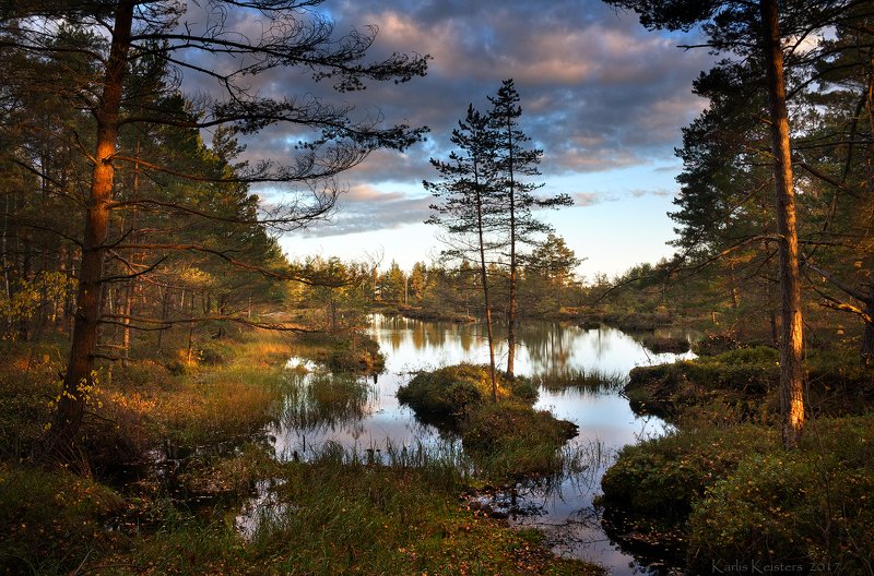 *** фото превью