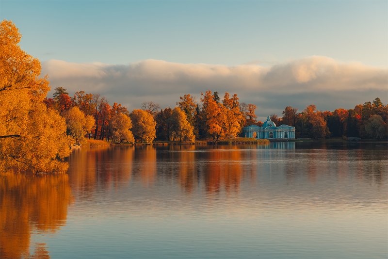осень, октябрь, царское село, парк, екатерининский парк, пушкин, санкт-петербург, спб Осеннее утро в Екатерининском парке фото превью