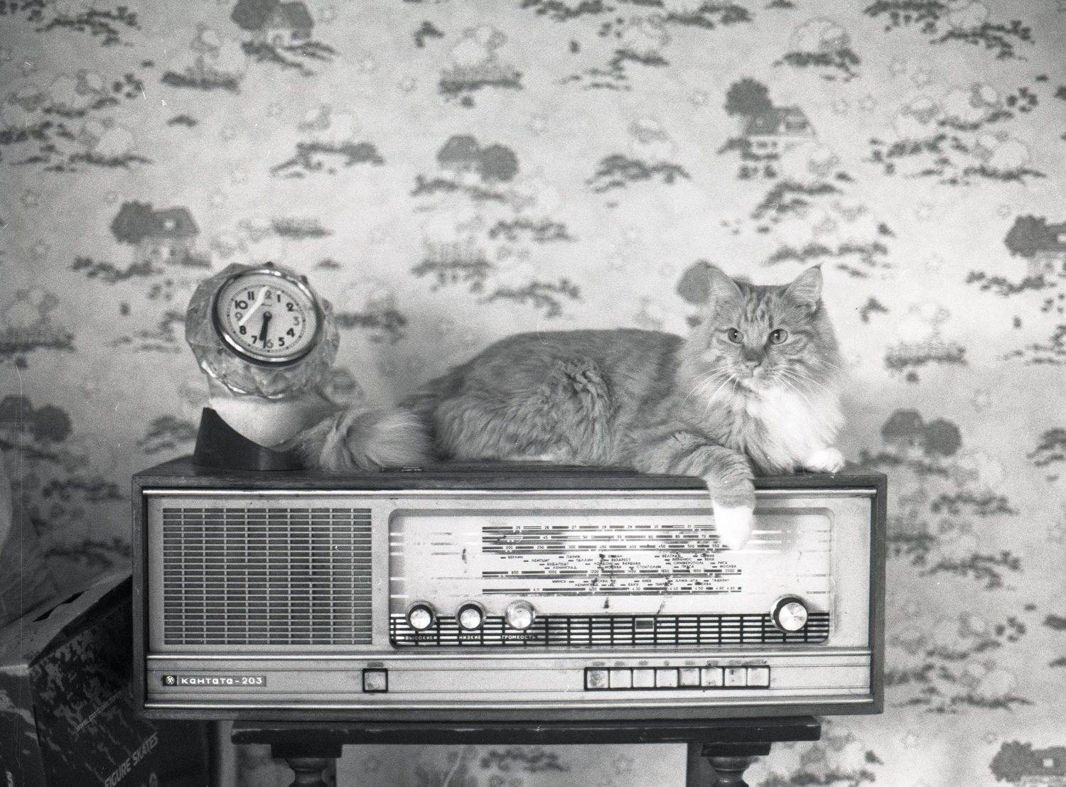 , Илья Глобин