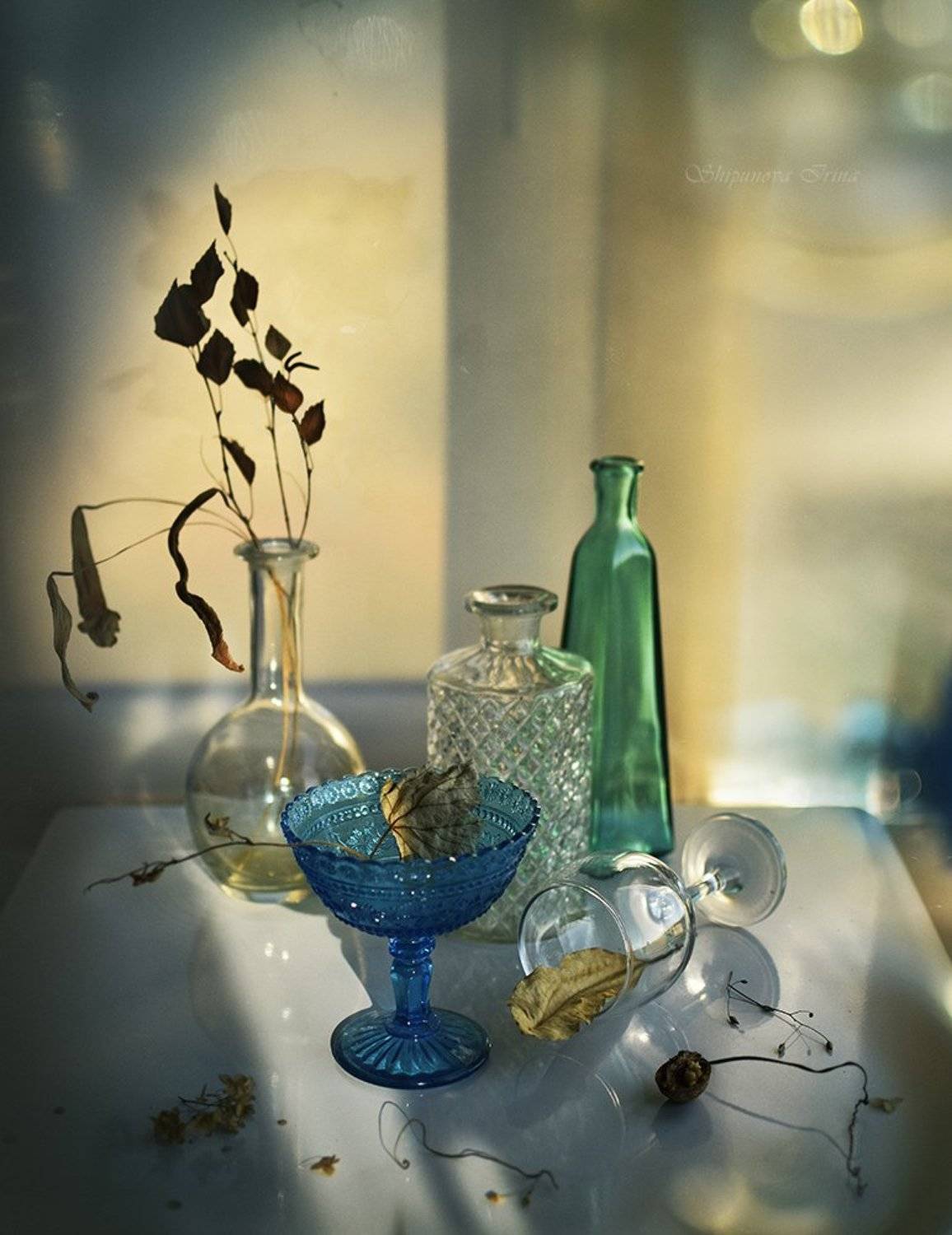 , Шипунова Ирина