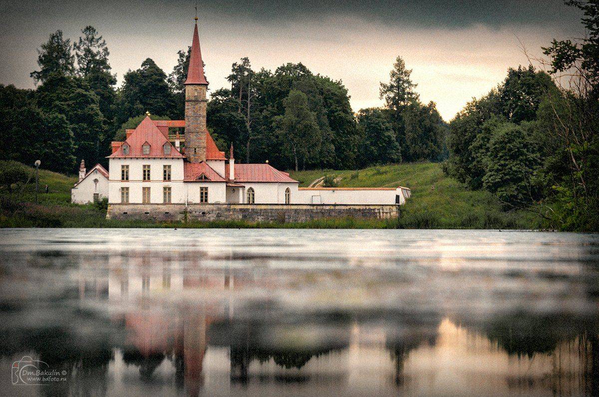 , Дмитрий Бакулин