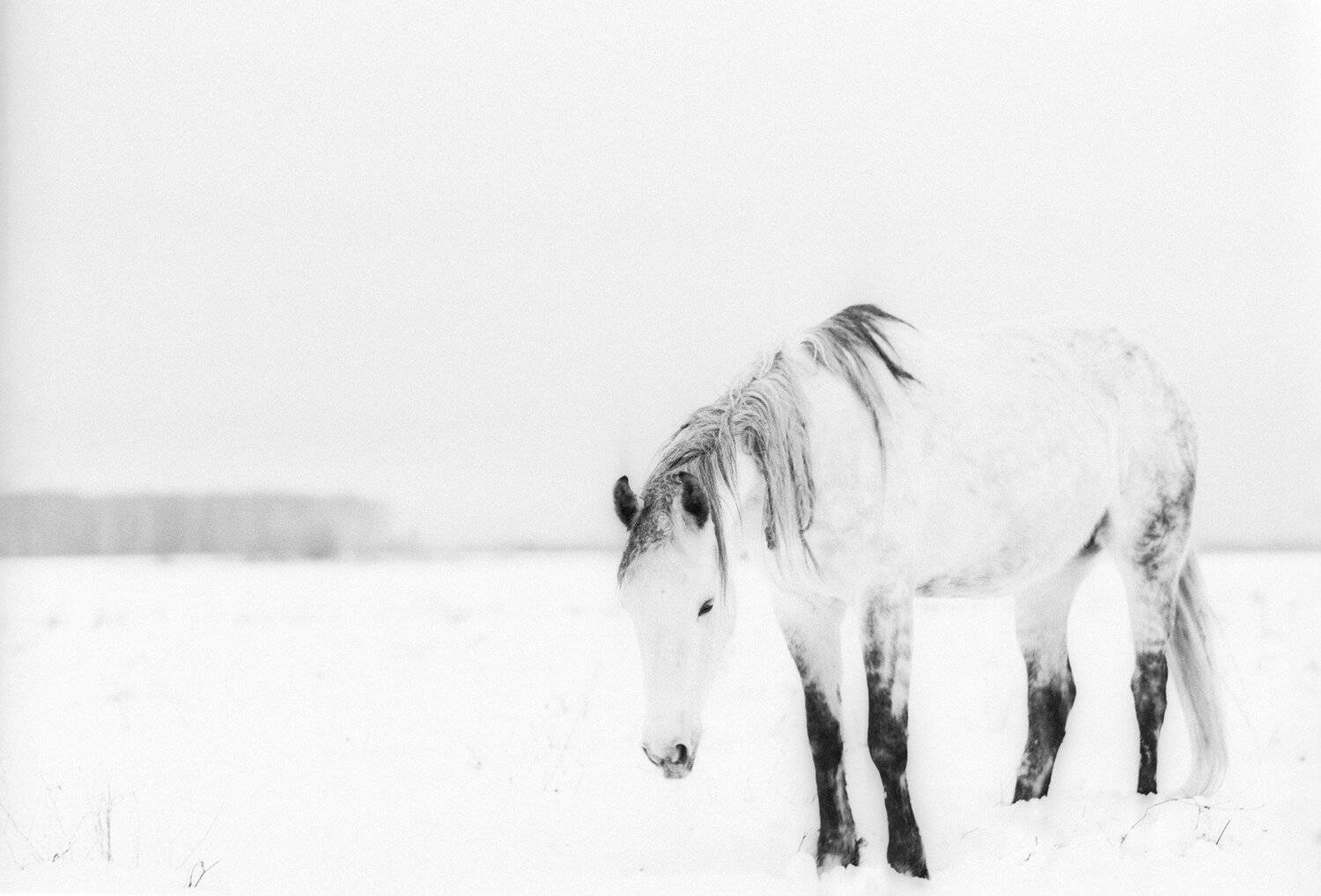 , Дмитрий Рябов