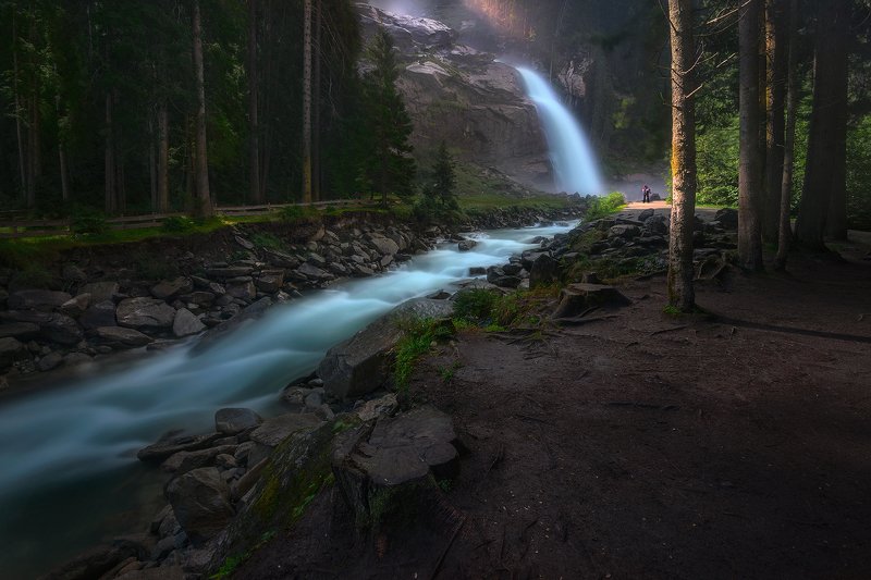 Forest Whisper фото превью