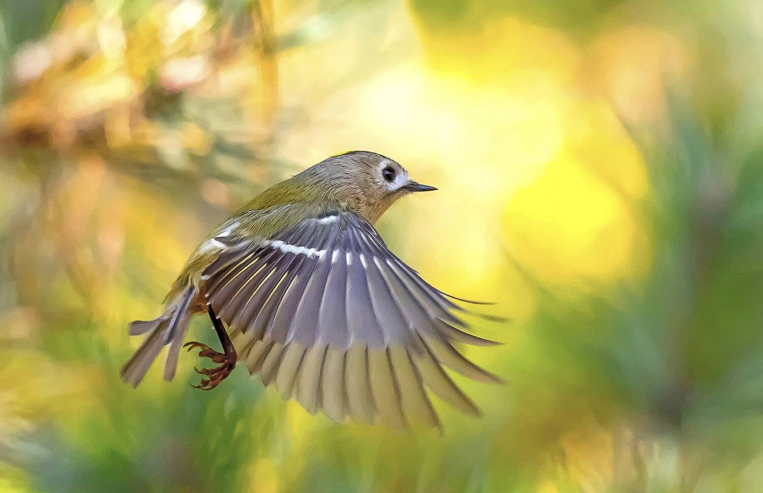 , Krzysztof Kozlowski