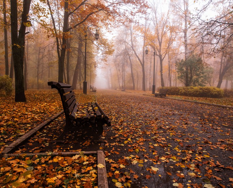 Осенняя атмосфера  фото превью