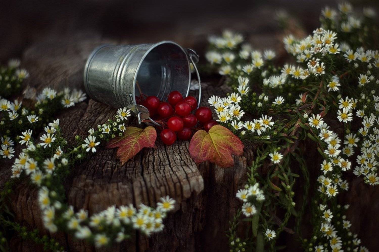 осень, октябрь, натюрморт, Петриченко Валерий