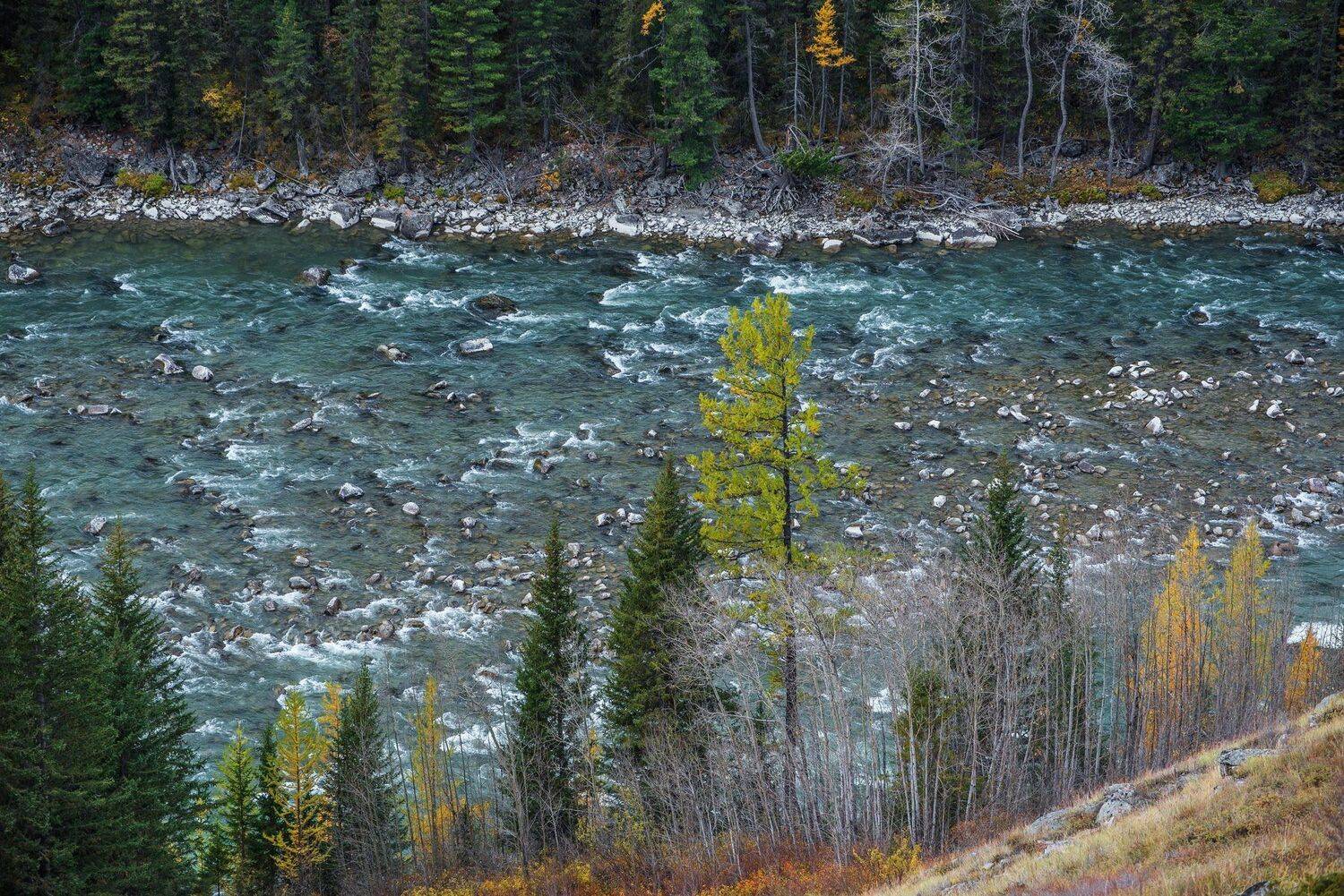 алтай. горы. осень. аргут., Евгений Дроботенко