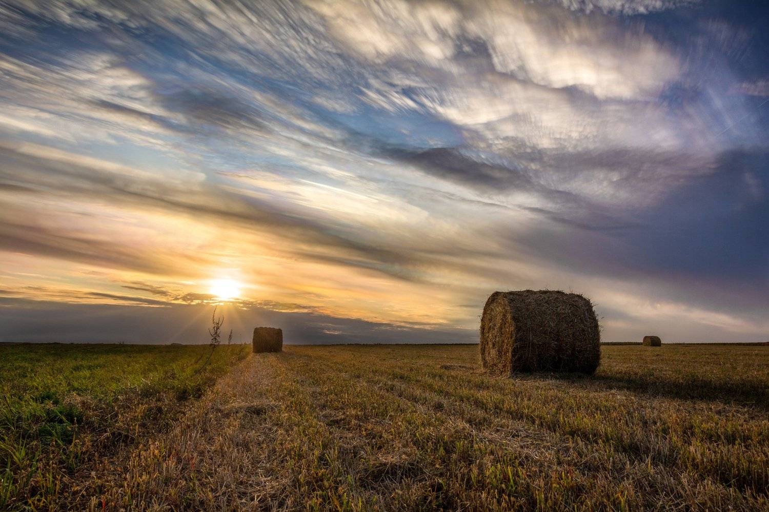 sunset sunlight skypainter paintedsky landscape field nature summer закат солнце раскрашенноенебо пейзаж природа, Александр Хрипушин