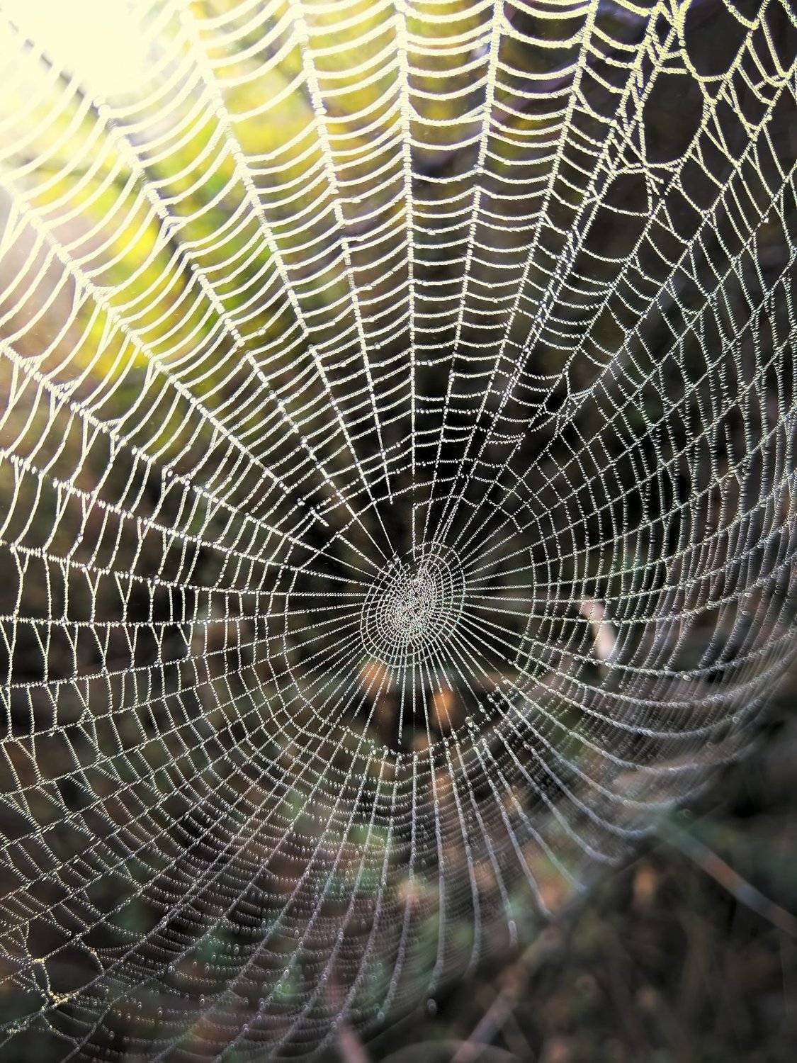 , Сергей Богачёв