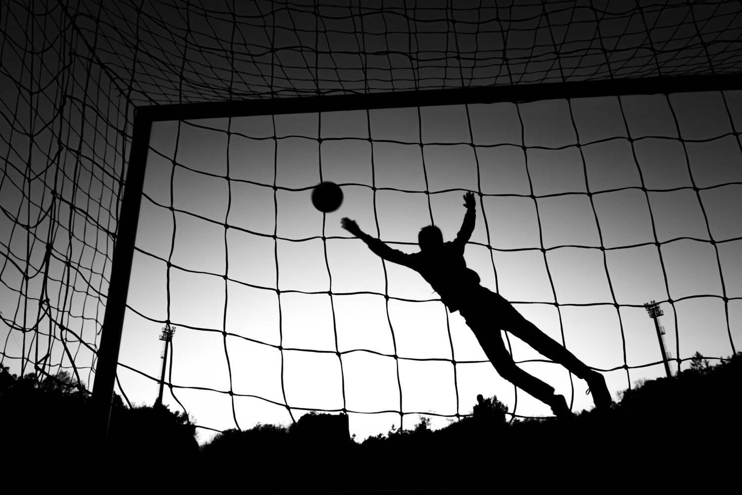 , Денис Винарь