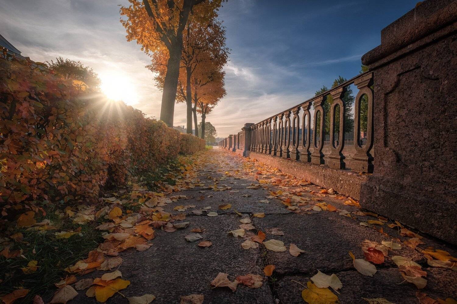 питер, канал, тротуар, листья, деревья, осень, октябрь, желтый, Андрей Чиж