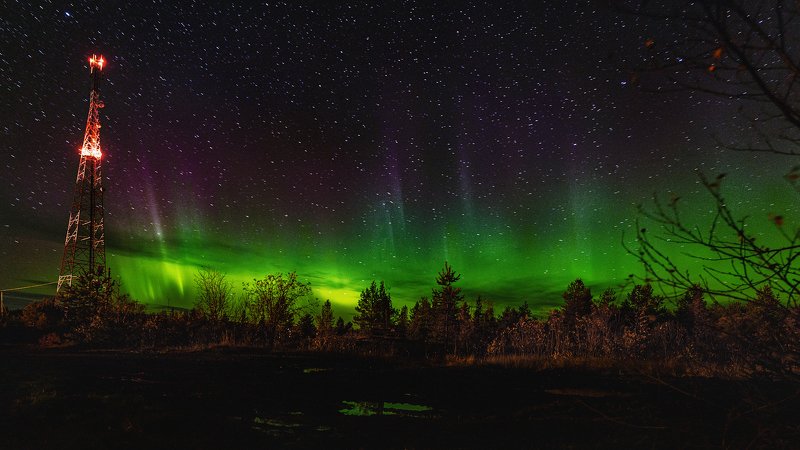 Северное сияние. Карелия (Кемь) фото превью
