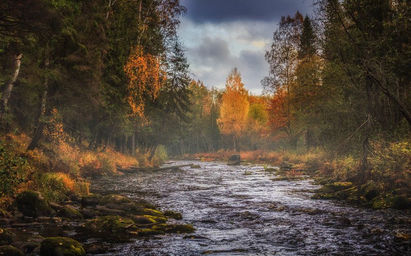 Карелия, р. Лососинка фото превью