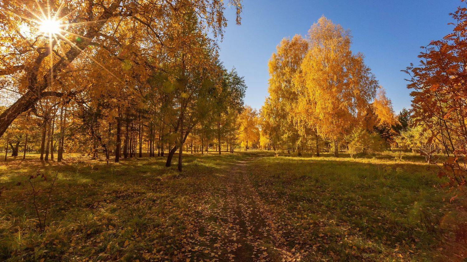 , Иващин Александр