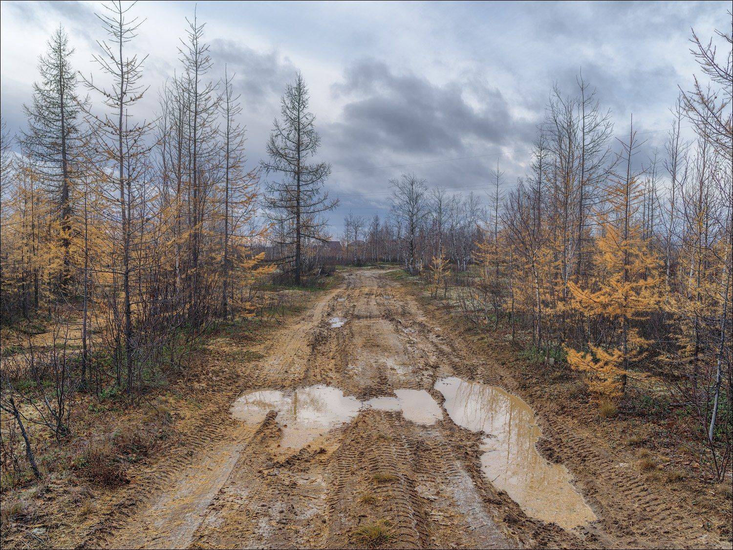 , Роман Чудинович