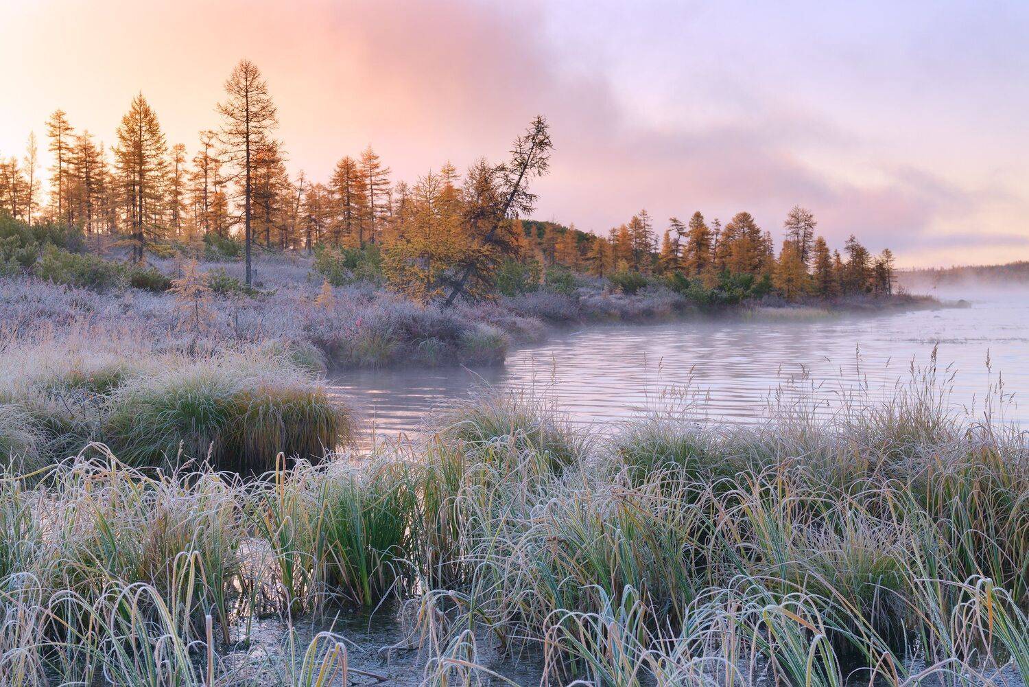 озеро, джека, лондона, Максим Евдокимов (phototourtravel.ru)
