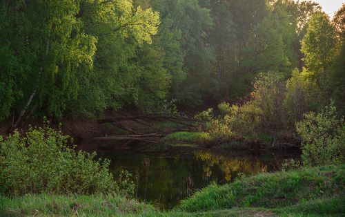 Майский день на реке