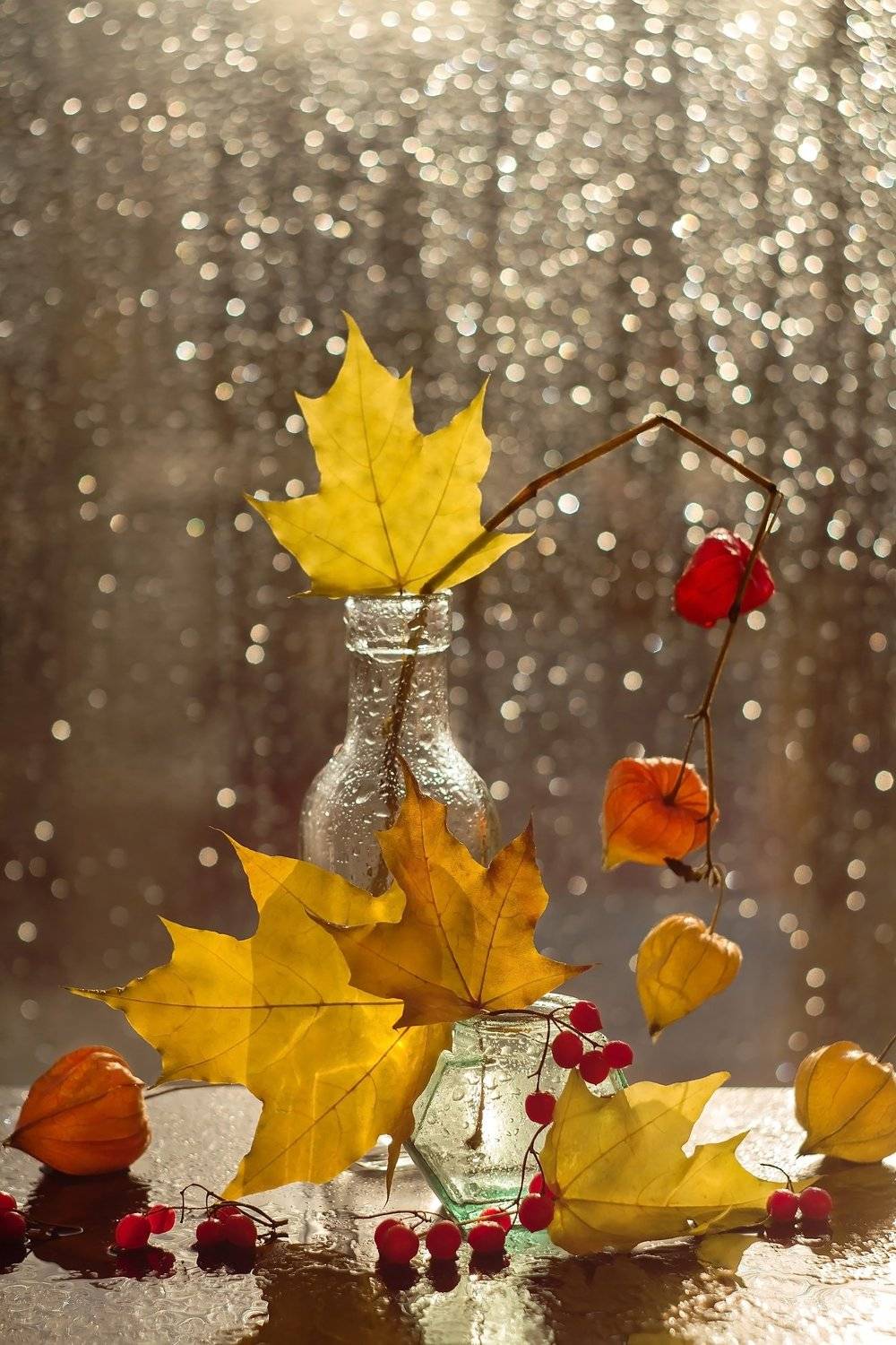 натюрморт, осень, клёновые листья, Юлия Яремко