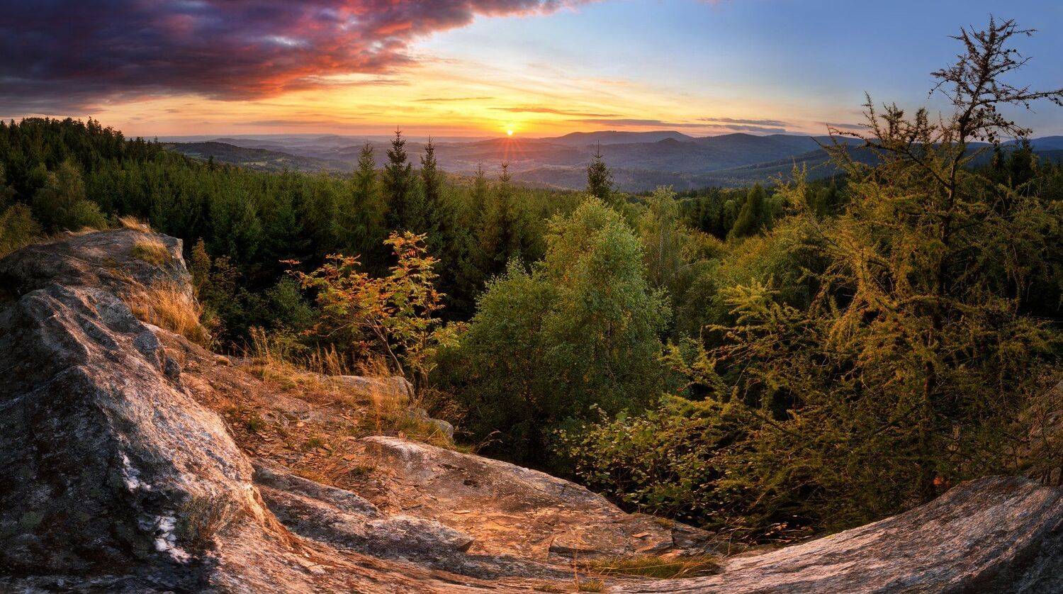 landscape, tree, sunset, panorama, Petr Fiala