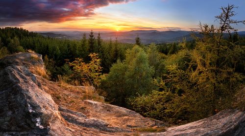 Evening at Ferdinandov